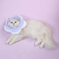 Wholesale Cat Collars Leads Flower Waterproof Lovely Sterilization Treatment Protection Collar Bite Grasping Anti Licking Accessories Pet