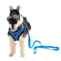 Wholesale Harness and Leash Escape Proof Reflective Pet Vest Harnesses for Cats Puppies for Walking Small Medium Large Cats and Dogs