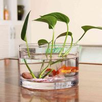 Wholesale Glass Bowl Clear Vase Cylinder Transparent Fish Tank Desktop Aquariums for Home Decor Sizes Party Supplies