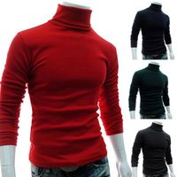 Wholesale Autumn Winter Sweater Men Turtleneck Solid Color Casual Slim Knitted Pullovers Wonderful Gifts For Friends Men s Sweaters