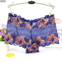 Wholesale Women s Panties Plus Size M XL Transparent Underpants For Women Full Lace Mesh Boyshorts Flowers Pattern Boxer Female Underwear