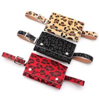 Wholesale Belts Korean Leopard Waist Pack Small Phone Pouch Bags Brand Designer Girls Fanny Bolosa Removable Bag Waistband Xmas Gifts