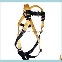 Wholesale Webbing Camping Hiking Sports Outdoorshigh Strength Poly Full Body Rock Climbing Harness Adults Safe Belts Guide Mountaineering Rappelling