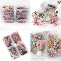 Wholesale 1 Box Real Dried Flower Dry Plants For Aromatherapy Candle Epoxy Resin Pendant Necklace Jewelry Making Craft DIY Accessories T2