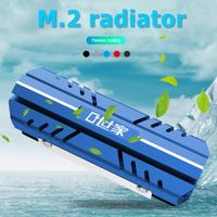 Wholesale Fans Coolings Passive Heat Dissipation M2 HS01 SSD Cooler M Solid State Disk Heatsink For Household Computer Accessories