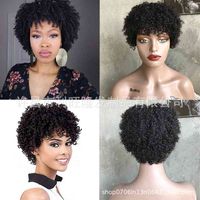 Wholesale Wig female short mechanism headgear Afro kinky curl human hair wig