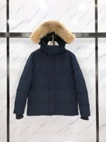 Wholesale 5 colours snow coats Wyndham men down jackets with coyote fur trim high quality keep warm parkas ykk zipper
