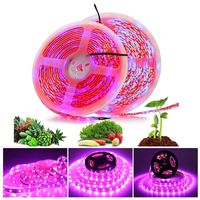 Wholesale Full Spectrum LED Lead Grow Lights m Roll leds SMD Chips Strips IP20 IP65 for Indoor Lighting Greenhouse Hydroponic Plant Red Blue Growth Lamps EUB