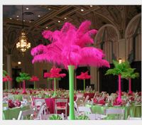 Wholesale inch Hot pink Ostrich Feather Plumes for Wedding centerpiece christmas feather decor wedding table decor party