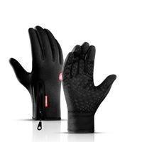 Wholesale Cycling Gloves Bike Sports Full Finger Winter Bicycle Warm Touchscreen Waterproof Outdoor Skiing Motorcycle Riding