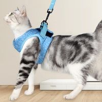 Wholesale Cat Collars Leads Portable Traction Belt Adjustable Anti Escape Small Kitten Harness Light Breathable Soft Pet Vest Wiring Walkin
