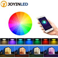 Wholesale Dimming Round LED Downlight W W W WiFi Smart APP Spot Light RGB Color Changing Warm Cool light Work with Alexa Google Home