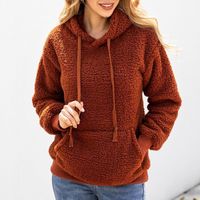 Wholesale Women s Sweaters Women Teddy Fleece Sweater Sherpa Hooded Pullover Lady High Quality Casual Fluffy Home Wear