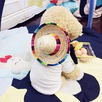 Wholesale Dog Apparel Adjustable Pet Cat Puppy Straw Hat Buckle Costume Supply For Small Animal Mini Sombrero Beach Party Hawaii Style Hats