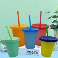 Wholesale 16oz Color Changing Cup Magic Plastic Drinking Tumblers with Lid and Straw Reusable Candy Color Cold Cup Summer Beer Mugs FY4494