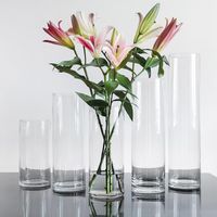 Wholesale Vases Small Diameter Straight Tube Simple Transparent Glass Vase Flowers Rich Bamboo Hydroponics El Office Decoration