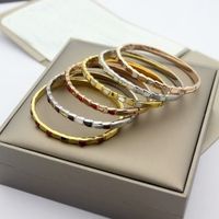 Wholesale Europe America Fashion Style Lady Women Titanium steel Engraved B Letter Mother of Pearl Snake Serpent Narrow Bangle Bracelet Color