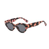 Wholesale Sunglasses MINCL Big name selling Kitten Eye Fashion Small Box Trend Color Frame Red Yellow LXL