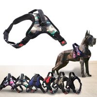 Wholesale Adjustable Pet Dog Chest Harness with Leash Set Cat Harness Vest Reflective and Breathable for Small and Large Dog Harness Vest