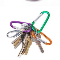 Wholesale Hooks Rails Carabiner Ring Keyrings Key Chains Outdoor Sports Camp Snap Clip Hook Keychain Aluminum Metal Convenient Hiking GWD11711