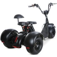 Wholesale Electric Tricycle for Adult Wide Tire Front and Rear Shock Absorption Lithium Battery Removable Suitable The City