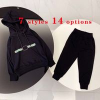Wholesale Kids Clothing Sets Sweater Two piece Suit Baby Boy Girl Hoodie Suits Child Sweatshirt Sweatpants Styles Options Size Classic