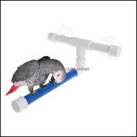 Wholesale Other Pet Home Gardenother Bird Supplies Creative Folding Shower Toys Bath Standing Platform Rack Suction Cup Parakeet Grinding Stand Toy