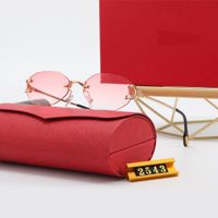 Wholesale Luxury designer Sunglasses metal small frame red box steampunk glasses retro fashion avant garde design UV400 light color decorative glass