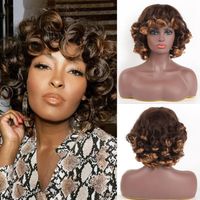 Wholesale Synthetic Wigs Short Hair African Style Curly Hair With Bangs Loose Cosplay Fluffy Natural Wigs Black Women Dark Colors