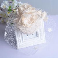 Wholesale Hair Clips Barrettes Birdcage Net Wedding Hat Bridal Fascinator Face Veils Feather Flower With Hairpin BN