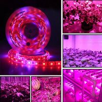 Wholesale Full Spectrum LED Cob Cree Lead Grow Lights m Roll leds SMD Chips Strips IP65 Waterproof for Indoor Lighting Greenhouse Hydroponic Plant Growth Lamp EUB