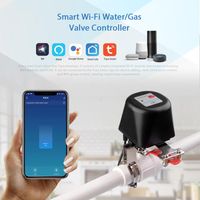 Wholesale Alarm Systems Tuya WiFi Water Valve Smartlife Auto Control Smart Gas Remote Vioce By Alexa Echo Google