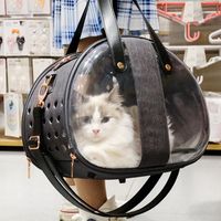Wholesale Cat Carriers Crates Houses Pet Dogs Bag Transparent Dog Portable Foldable Carrying Carrier Handbag