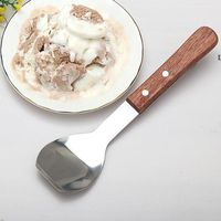 Wholesale Stainless Steel Ice Cream Spoon with Wooden Handle Dessert Scoop Spade Butter Cutter RRE12154