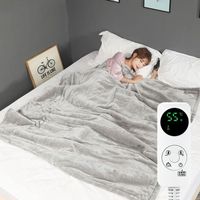 Wholesale Blankets Heater Double Bed Electric Blanket Controller Automatic Cut Off Thermal Heat Carpet Manta Electrica Water Heating HX50