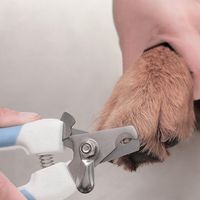 Wholesale Professional Pet Dog Nail Clipper Cutter Stainless Steel Grooming Trimmer Scissors Clippers for Animals Cats with Lock Blue Pink DHL