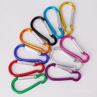 Wholesale Metal Carabiner Key Chain Ring Keychains Clip Hook for Outdoor Sports Type D MM B MM Shape Aluminum alloy