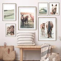 Wholesale Paintings Landscape Horses Highland Cow Farmhouse Wall Art Canvas Painting Nordic Posters And Prints Pictures For Living Room Decor