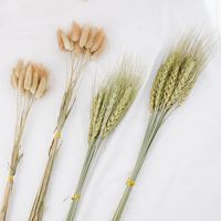 Wholesale Decorative Flowers Wreaths Natural Wheat Tail Grass Hay Dry Flower Spike Dried Bouquet Big Sale El Home Decoration Q2