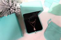 Wholesale Heart shaped necklace female sterling silver couple rhinestone pendant jewelry hanging on the neck to send girlfriend jewelry
