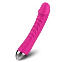 Wholesale G spot Vibrators for Women Clitoris Powerful Stimulator Silicone Vagina Dildo Vibrator Female Masturbator Sex Toy Woman