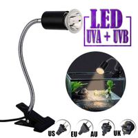 Wholesale Reptile Supplies Heating Light Holder heating lamp Lamp Pet Spotlights Full Spectrum Basking Bulb D30 A0706