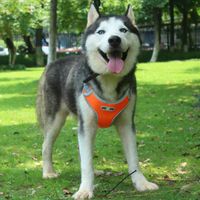 Wholesale Dog Apparel Adjustable Vest Comfortable Medium And Large Dogs Breathable Vests Outdoor Walking Reflective Supplies Clothes Plus Size