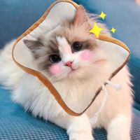 Wholesale Cat Collars Leads Soft Cotton Pet Elizabethan Collar Toast Shaped Dog Adjustable Wound Healing Prevent Bite Neck Ring For Pets U3