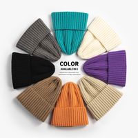 Wholesale Beanie Skull Caps Autumn and Winter Knitted Korean Style All Match Solid Color Woolen Womens Outdoor Thickened Warm Hat Factory in Stock