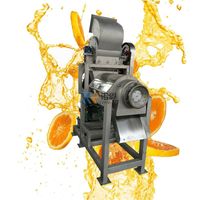 Wholesale Food Processors t h Stainless Steel Industrial Fruit And Vegetables Crushing Juicing Equipment Ginger Tomato Crusher Juicer Extractor Mac