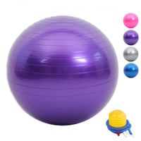 Wholesale 2021 Yoga Balance Ball Fitness Shaping Buttocks Correction Sitting Posture Stovepipe Pilates Firming Muscles Training Fitness Ball