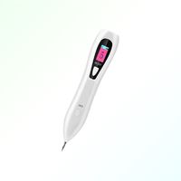 Wholesale Home Use Skincare Laser Plasma Pen Tattoo Mole Spots Remover Mini CE Approval Freckles Dark Skin USB Rechargeable Cleaner