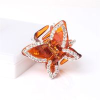 Wholesale Hair Clips Barrettes Beauty Butterfly Plastic Small Claw Perfect Gift Mini Jaw Clamp Accessory For Women