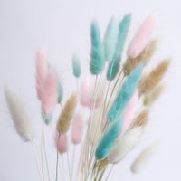 Wholesale 100Stems Weeding Decor Natural Dried Flowers Bunch Rabbit Bunny Tail Grass for Home Wedding Decoration Real Flower Bouquet